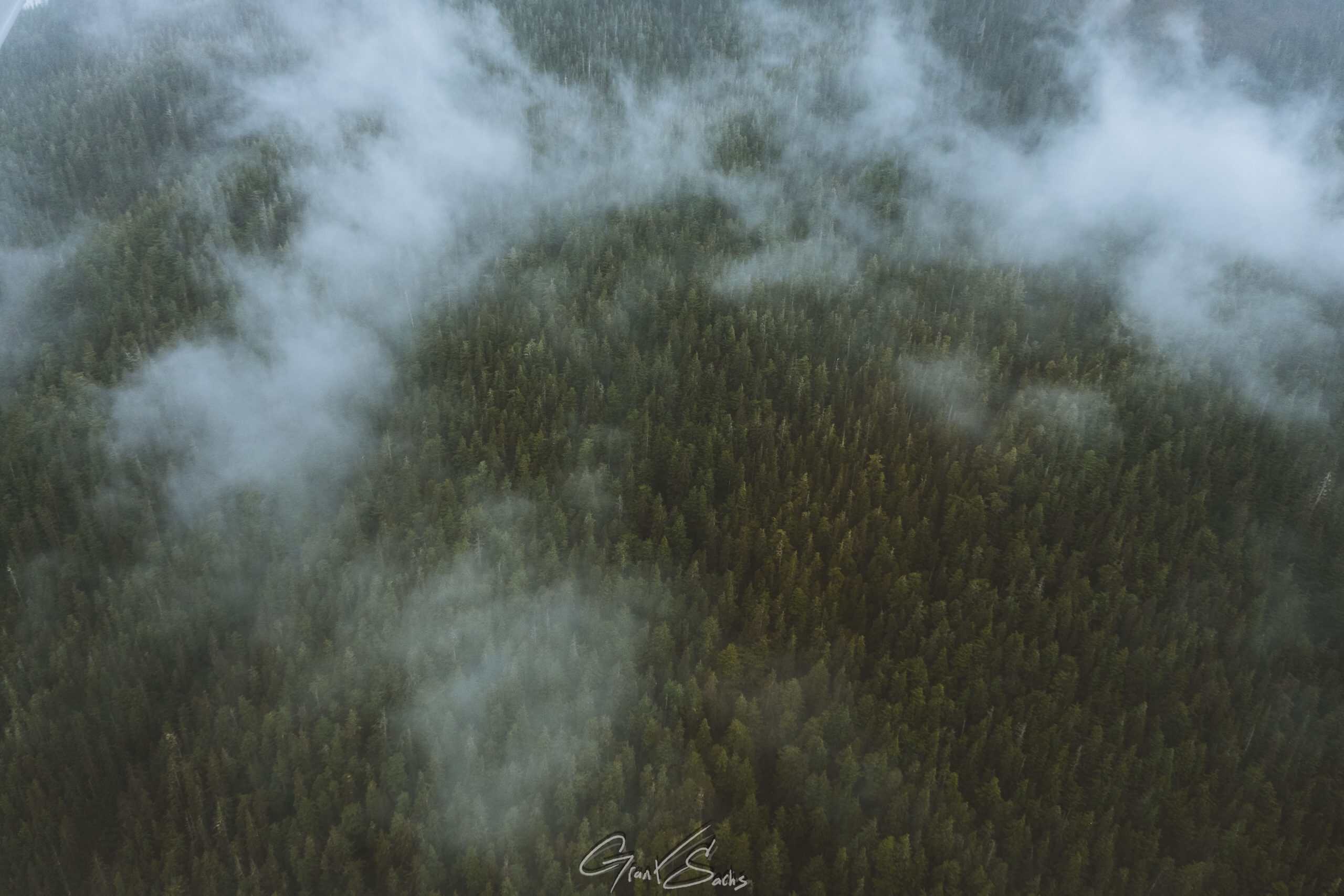 The Sound of Silence: What Alaska Teaches About Mental Clarity