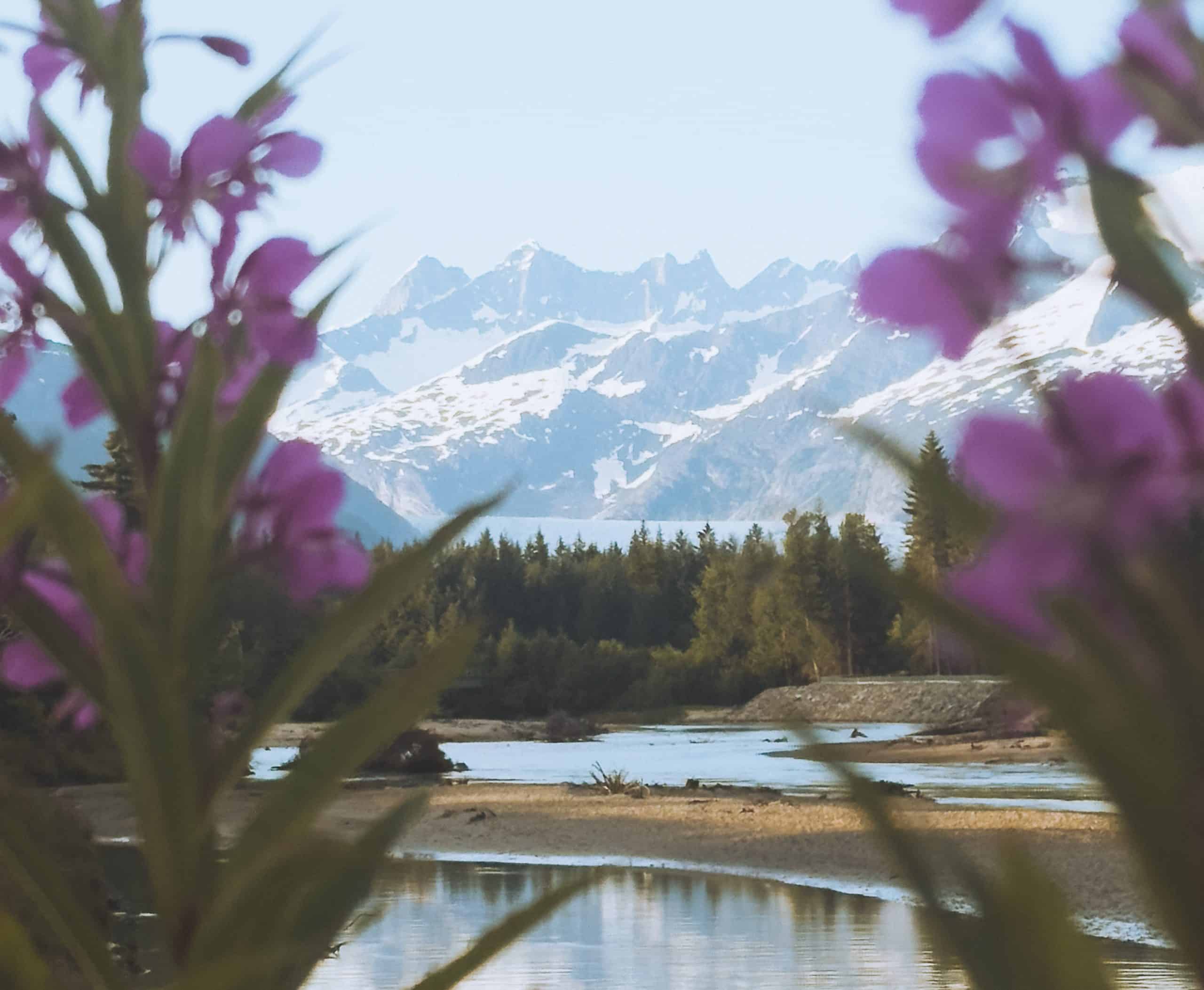 5 Simple Ways to Practice Mindfulness During an Alaska Summer